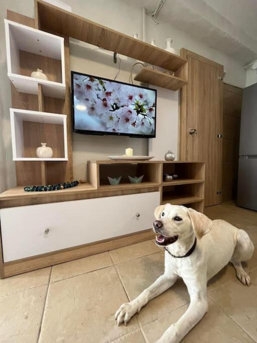 Kareshome-Privacy-View Panormos  Zewnętrze zdjęcie